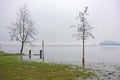 Meadow and park trees submerged by lake water Royalty Free Stock Photo