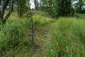 Meadow with pasture electric grazing fence wires