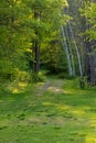 Meadow with path leading into a midwestern forest in the Northwoods Royalty Free Stock Photo