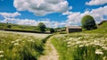 Meadow Path In Yorkshire: A Serene Journey Through Lush Scenery