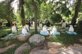 A meadow with penguins and grass and trees and stones in the Nong Nooch tropical botanic garden near Pattaya city in Thailand