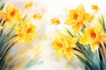 Floral flowers background daffodil narcissus garden green spring blossom yellow easter background plant nature Royalty Free Stock Photo