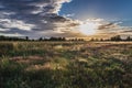 Meadow in Poland Royalty Free Stock Photo