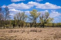 Meadow in Poland, Masovia region Royalty Free Stock Photo
