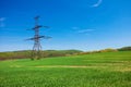 Meadow and power line Royalty Free Stock Photo