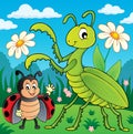 Meadow with praying mantis and ladybug Royalty Free Stock Photo