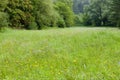 meadow in Prokopske Valley, Prague, Czech Republic