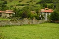 Meadow Protected by a Guardian Dog on the Ruta del Camin Encantau in the Council of Llanes. Nature, Travel, Landscapes, Forests, F Royalty Free Stock Photo