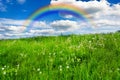 Meadow with rainbow Royalty Free Stock Photo