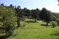 Meadow on ridge of Little carpatians mountain Royalty Free Stock Photo