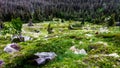 Meadow rocks and spruce forest in the Karkonosze mountains Royalty Free Stock Photo