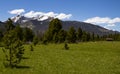 Meadow In Rocky Mountain National Park 