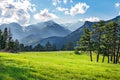 Meadow in Rocky Mountain National Park Royalty Free Stock Photo