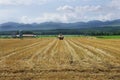 Meadow with roll bales