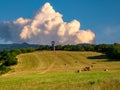 A meadow with round bales of straw and a lookout tower on its edge and a massive cloud on blue sky Royalty Free Stock Photo