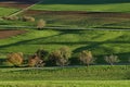 Meadow with shadows at evening Royalty Free Stock Photo