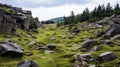 Meadow With Sharp Boulders: A Stunning Landscape In Steinheil Quinon Style