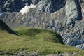 Meadow, sheeps and glacier nearby Grindelwald in Switzerland