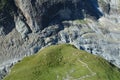 Meadow, sheeps and glacier nearby Grindelwald in Switzerland