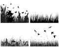 Meadow silhouettes set Royalty Free Stock Photo