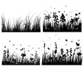 Meadow silhouettes set Royalty Free Stock Photo