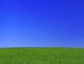 Meadow and sky Royalty Free Stock Photo