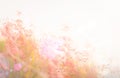 Meadow and sky against autumn landscape sunrise Royalty Free Stock Photo