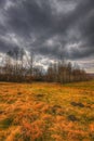 Meadow and small forest under dramatic sky at early spring