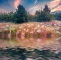 Meadow with spider webs reflected in the calm waters of Svityaz lake. Royalty Free Stock Photo