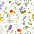 Meadow spring wild flowers and herbs seamless pattern. Vintage floral ornament with daisy, poppy and leaves. Cottagecore