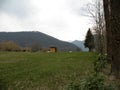 Meadow with spruce and mowed grass with flowers, in the background there are some houses and hills. Green intact nature. The way o