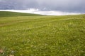 Meadow with storm clouds Royalty Free Stock Photo