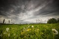 Meadow before a storm Royalty Free Stock Photo