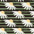 Meadow style seamless pattern with simple calendula flowers shapes. Green striped background Royalty Free Stock Photo