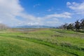 Meadow in Sunnyvale Baylands Park; view towards Mission Peak, south San Francisco bay, California