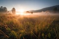 Meadow Sunset panorama View: Serene Nature Landscape Colorful Sky. Wide Countryside rye wheat field in the summer on cloudy sky Royalty Free Stock Photo