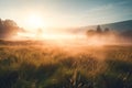 Meadow Sunset panorama View: Serene Nature Landscape Colorful Sky. Wide Countryside rye wheat field in the summer on cloudy sky Royalty Free Stock Photo