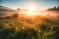 Meadow Sunset panorama View: Serene Nature Landscape Colorful Sky. Wide Countryside rye wheat field in the summer on cloudy sky Royalty Free Stock Photo