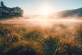 Meadow Sunset panorama View: Serene Nature Landscape Colorful Sky. Wide Countryside rye wheat field in the summer on cloudy sky Royalty Free Stock Photo