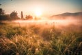 Meadow Sunset panorama View: Serene Nature Landscape Colorful Sky. Wide Countryside rye wheat field in the summer on cloudy sky Royalty Free Stock Photo