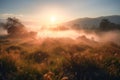 Meadow Sunset panorama View: Serene Nature Landscape Colorful Sky. Wide Countryside rye wheat field in the summer on cloudy sky Royalty Free Stock Photo