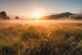 Meadow Sunset panorama View: Serene Nature Landscape Colorful Sky. Wide Countryside rye wheat field in the summer on cloudy sky Royalty Free Stock Photo