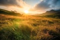 Meadow Sunset panorama View: Serene Nature Landscape Colorful Sky. Wide Countryside rye wheat field in the summer on cloudy sky Royalty Free Stock Photo