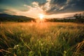 Meadow Sunset panorama View: Serene Nature Landscape Colorful Sky. Wide Countryside rye wheat field in the summer on cloudy sky Royalty Free Stock Photo