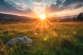 Meadow Sunset panorama View: Serene Nature Landscape Colorful Sky. Wide Countryside rye wheat field in the summer on cloudy sky Royalty Free Stock Photo