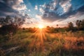 Meadow Sunset panorama View: Serene Nature Landscape Colorful Sky. Wide Countryside rye wheat field in the summer on cloudy sky Royalty Free Stock Photo