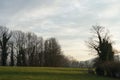 A meadow surrounded by a group of trees in winter with silhouettes of mountains in the background. The sky is covered by cirrus cl