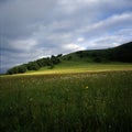 Meadow before thunder storm Royalty Free Stock Photo