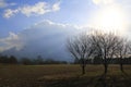 Meadow with trees with gathering storm clouds near Sandweier Baden-Baden in Black Forest