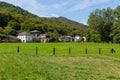 Meadow, trees and houses